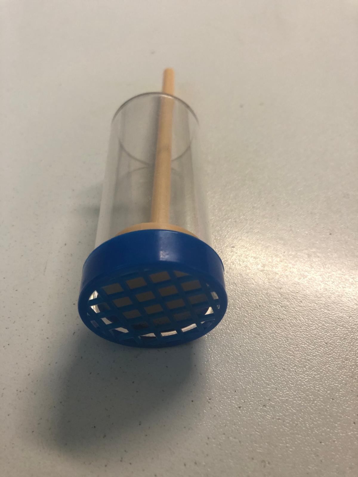 Marca regina a stantuffo con rete - immagine 2