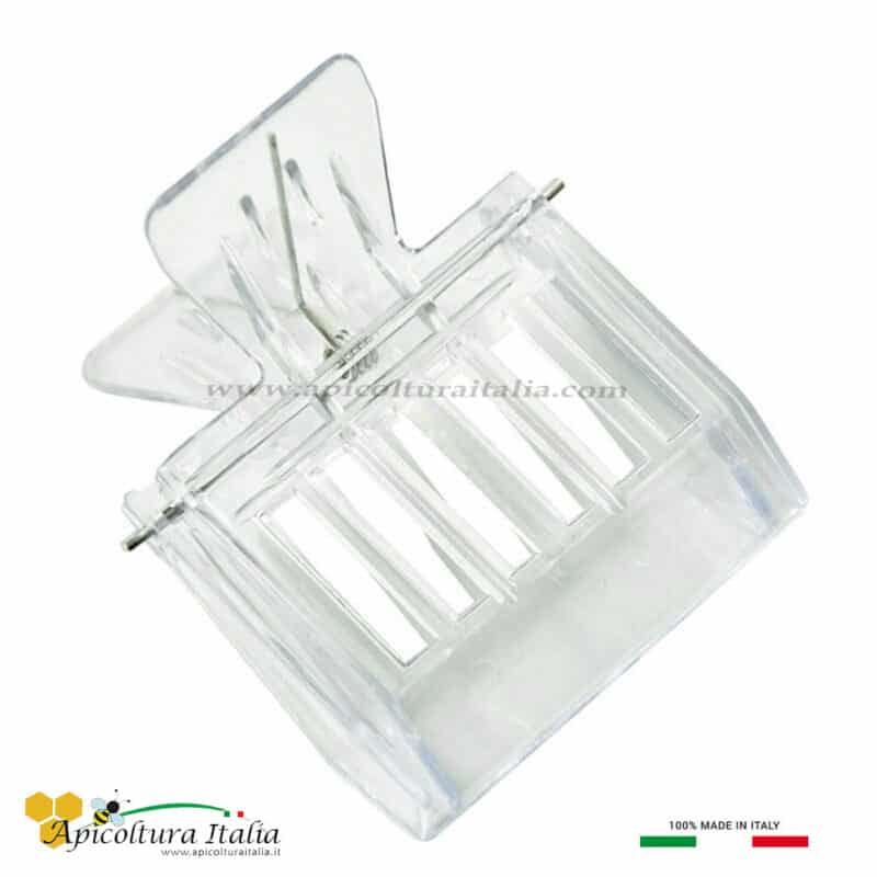 Pinza per ape regina