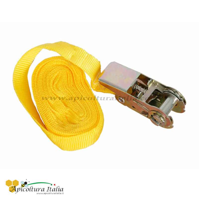 Cinghia Fascia Semplice